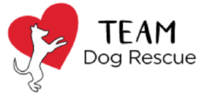 Team Dog Rescue